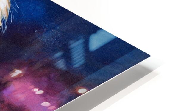 HD Sublimation Metal Print